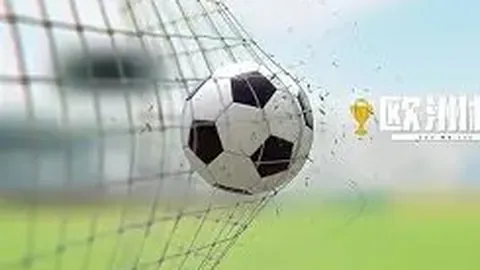 足球荣耀之城：大连一跃成为囊括中超、中甲、中乙、中冠各级别球队的足球盛宴之地