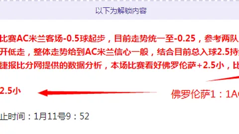 激情对决！意甲焦点战：克雷莫内塞vs维罗纳，谁将笑到最后？16比12悬念迭起！
