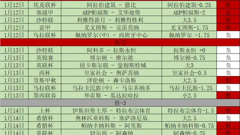伊卡爾迪加盟阿森納，力補奧巴梅楊後衛空缺