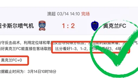 大田市民客场战力分析：专家解读期号质合及前区十码推荐